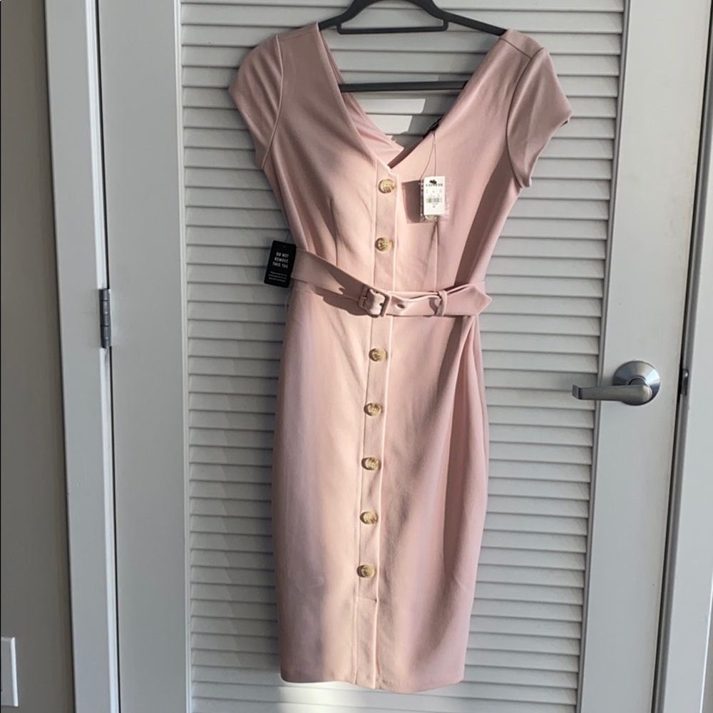Express blush pink button down dress